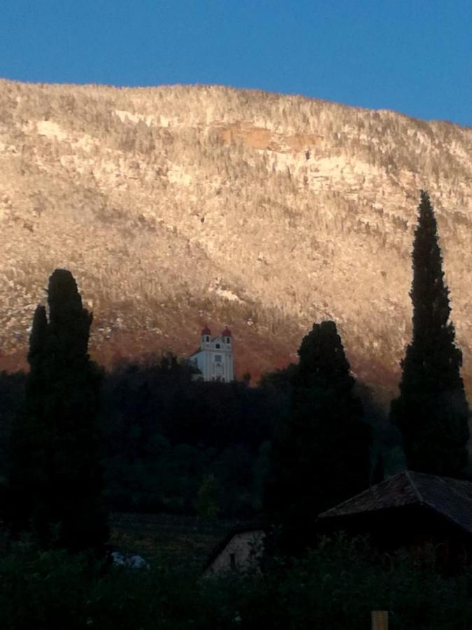 Ansitz Jenner Apartment Appiano Sulla Strada Del Vino Bagian luar foto
