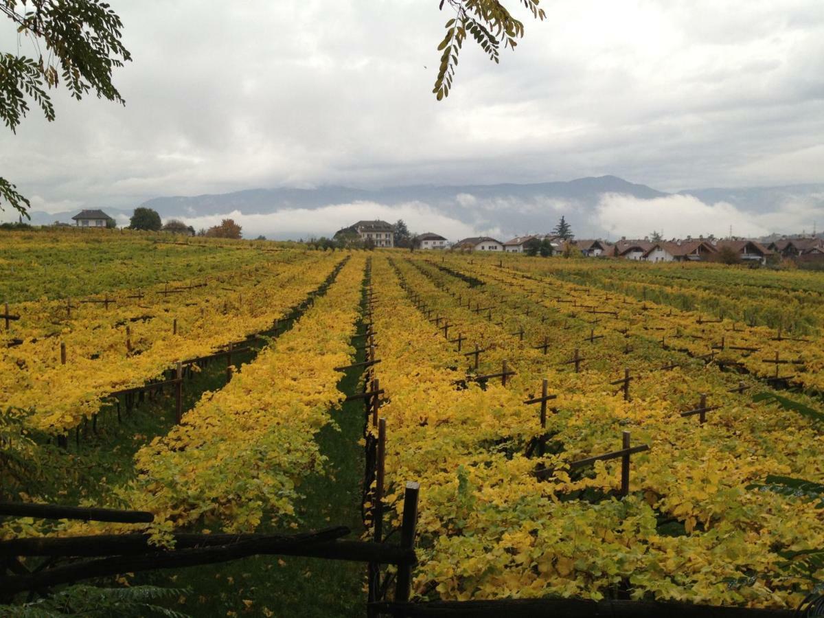 Ansitz Jenner Apartment Appiano Sulla Strada Del Vino Bagian luar foto