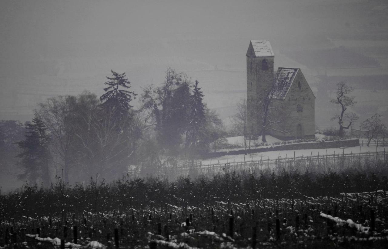Ansitz Jenner Apartment Appiano Sulla Strada Del Vino Bagian luar foto